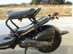    Honda Zoomer 2003  14